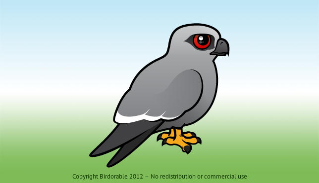 Birdorable Mississippi Kite 