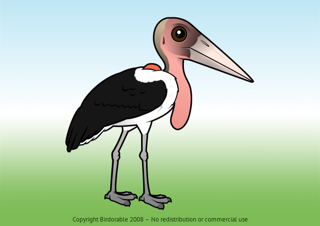 Birdorable Marabou Stork 