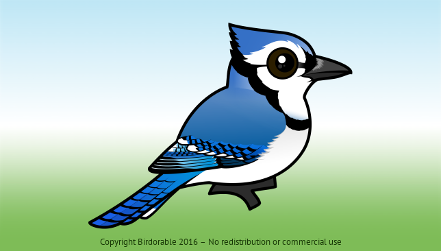 Birdorable Blue Jay 