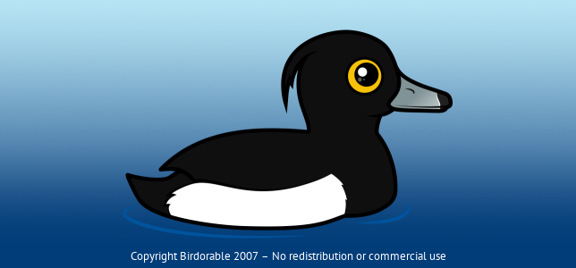 Birdorable Tufted Duck Male