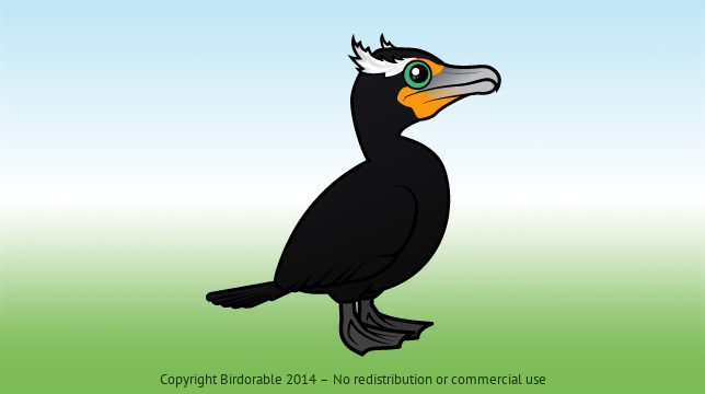Birdorable Double-crested Cormorant 