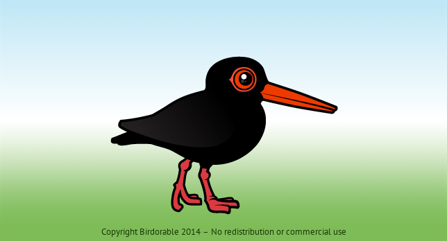 Birdorable Sooty Oystercatcher 