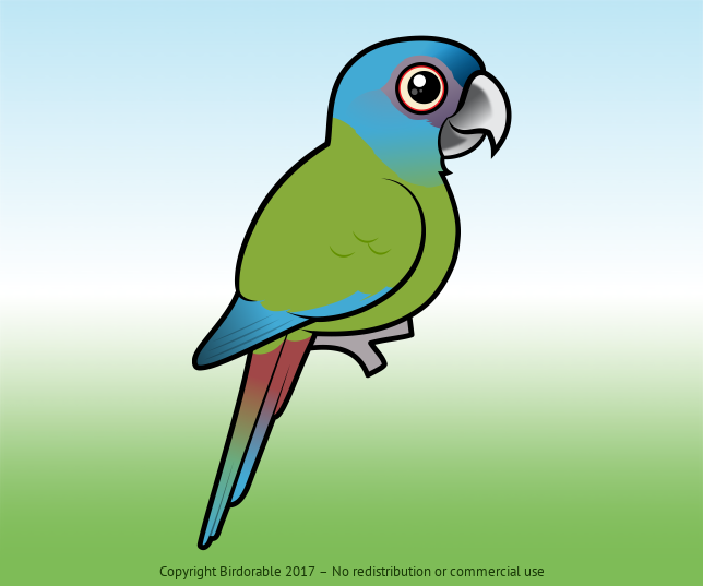 Birdorable Blue-headed Macaw 