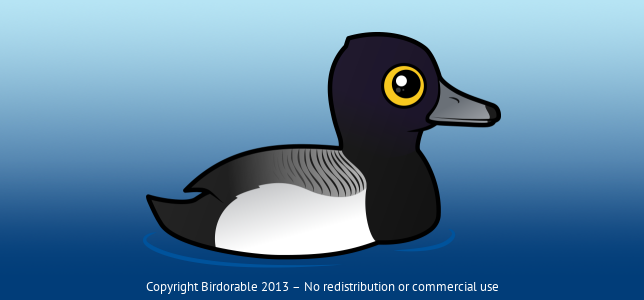 Birdorable Lesser Scaup 