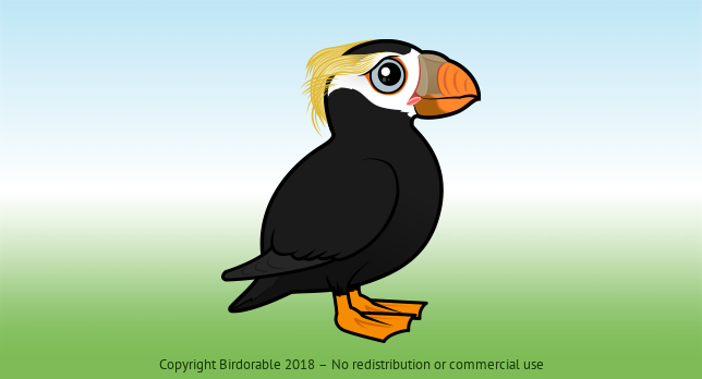 Birdorable Tufted Puffin 