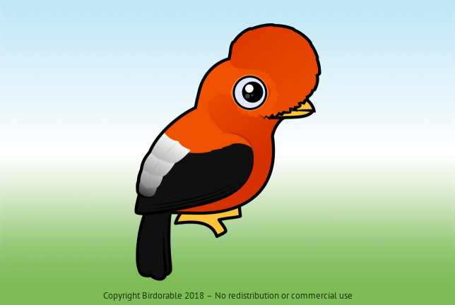 Birdorable Andean Cock-of-the-rock 