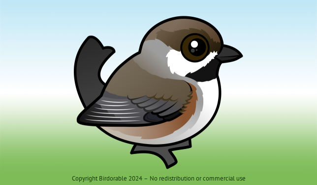Birdorable Boreal Chickadee 