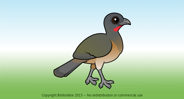 Birdorable Plain Chachalaca 
