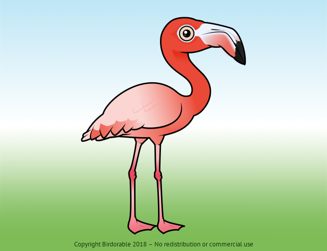 Birdorable American Flamingo 