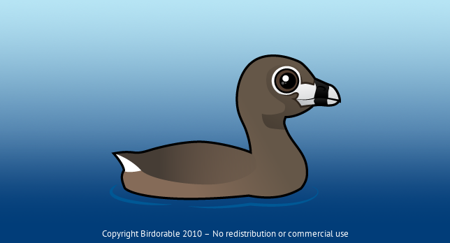 Birdorable Pied-billed Grebe 