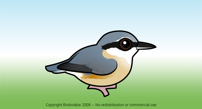 Birdorable Eurasian Nuthatch 