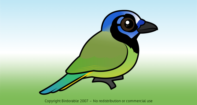 Birdorable Green Jay 