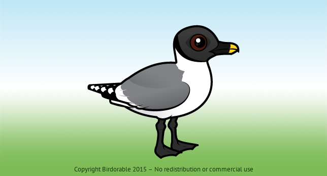 Birdorable Sabine's Gull 