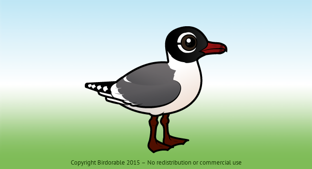 Birdorable Franklin's Gull 