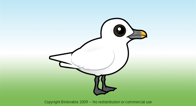Birdorable Ivory Gull 