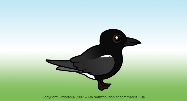 Birdorable Black Tern 