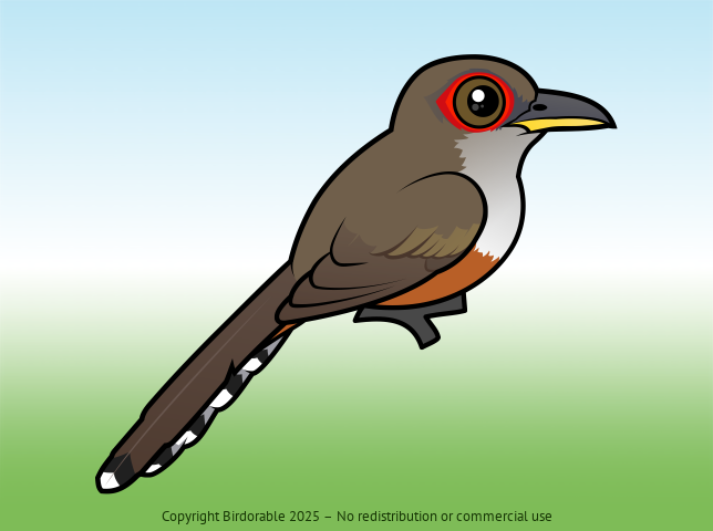 Birdorable Puerto Rican Lizard-Cuckoo 