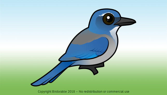 Birdorable Woodhouse's Scrub-Jay 