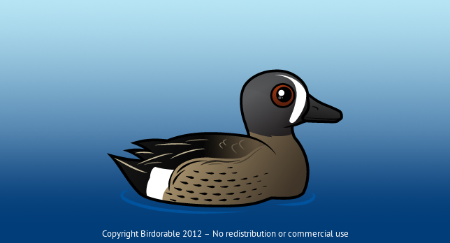Birdorable Blue-winged Teal 
