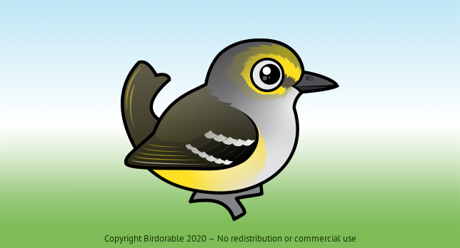 Birdorable White-eyed Vireo 