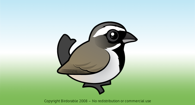 Birdorable Black-throated Sparrow 