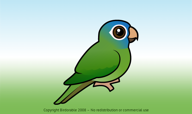 Birdorable Blue-crowned Conure 