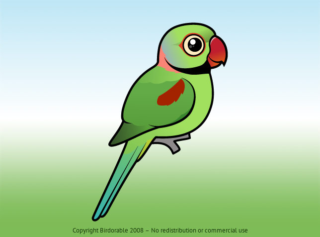 Birdorable Alexandrine Parakeet 