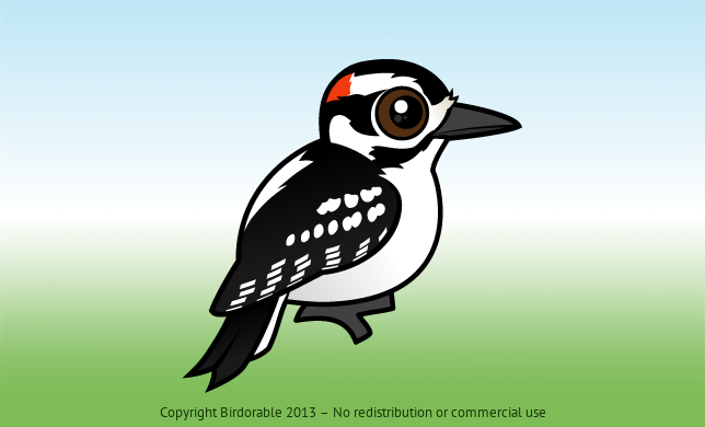 Birdorable Hairy Woodpecker 
