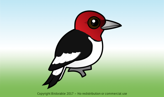 Birdorable Red-headed Woodpecker 