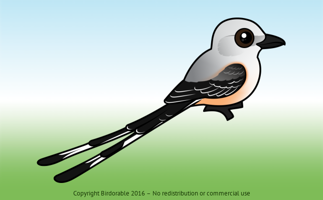 Birdorable Scissor-tailed Flycatcher 