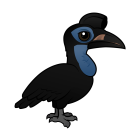 Thumbnail of Birdorable Abyssinian Ground Hornbill Female