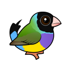 Thumbnail of Birdorable Gouldian Finch Black-headed