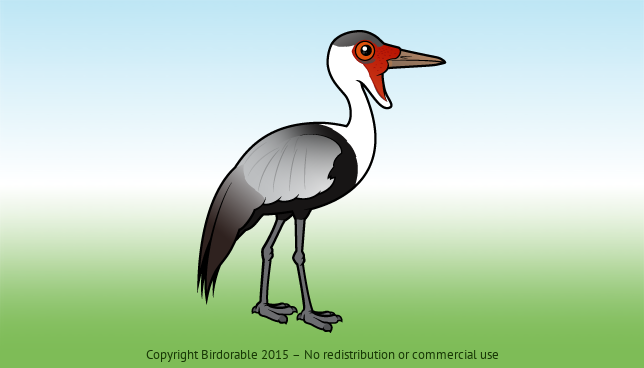 Birdorable Wattled Crane 