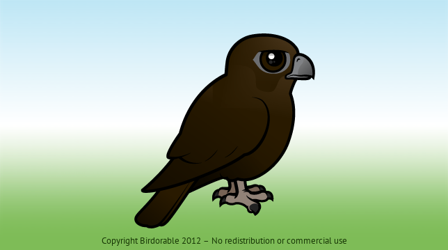 Birdorable Black Falcon 