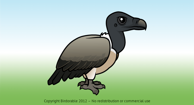 Birdorable Slender-billed Vulture 