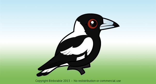 Birdorable Australian Magpie 