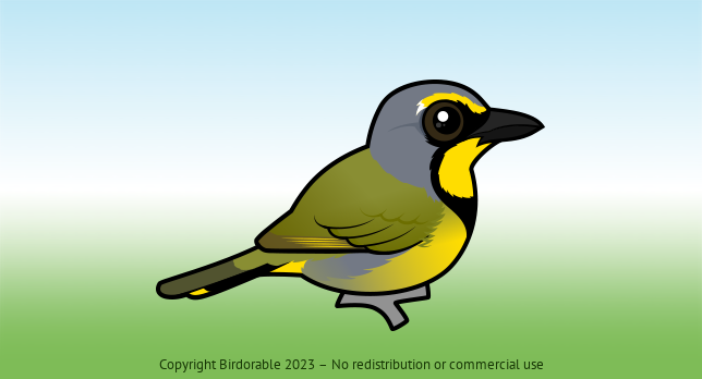 Birdorable Bokmakierie 