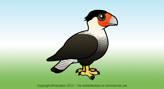 Birdorable Crested Caracara 