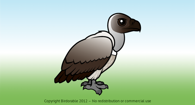 Birdorable White-backed Vulture 