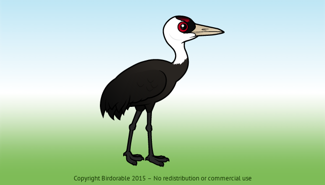 Birdorable Hooded Crane 
