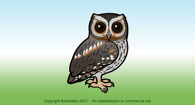 Birdorable Flammulated Owl 