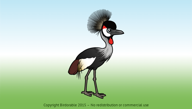 Birdorable Grey Crowned-Crane 
