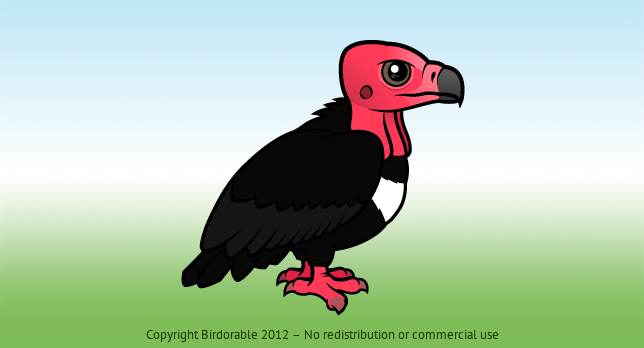 Birdorable Red-headed Vulture 