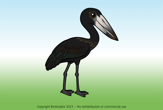 Birdorable African Openbill 