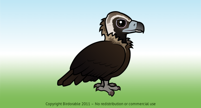 Birdorable Cinereous Vulture 