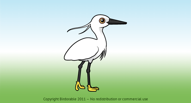 Birdorable Little Egret 