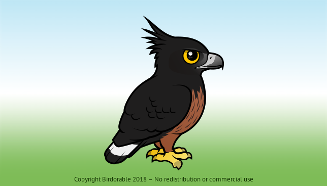 Birdorable Black-and-chestnut Eagle 