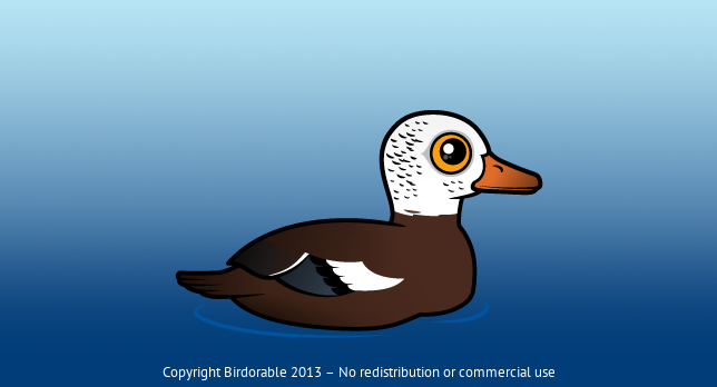 Birdorable White-winged Duck 