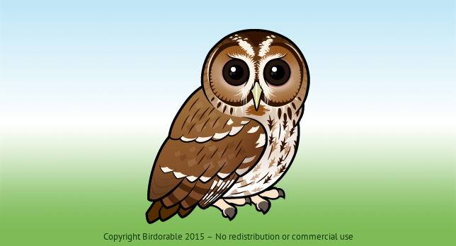 Birdorable Tawny Owl 