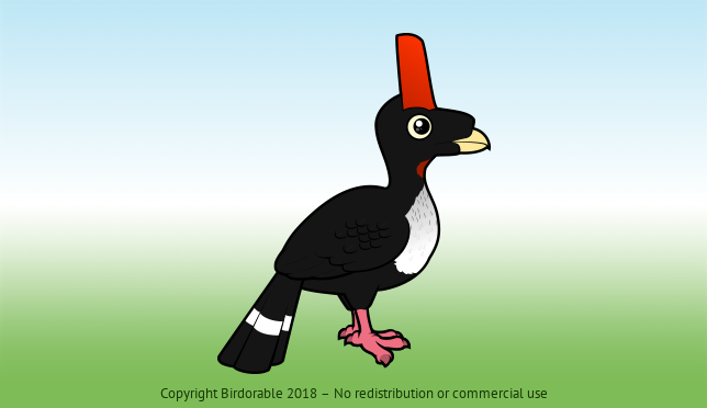 Birdorable Horned Guan 